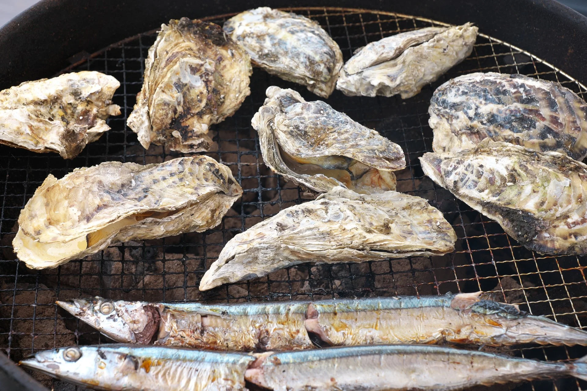 氷の上に並ぶ鮮魚と貝類を手前から見た市場の魚売り場